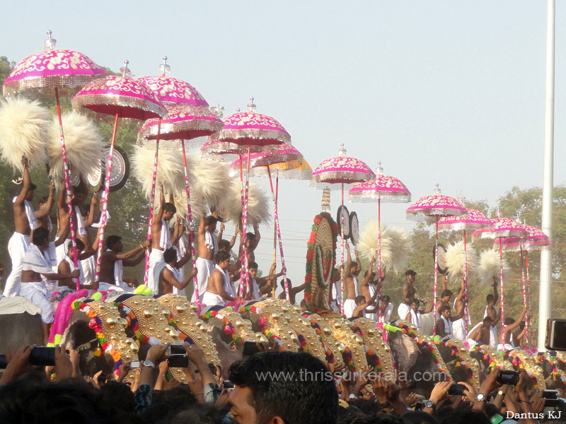 thrissur-pooram-2013-2 (1)